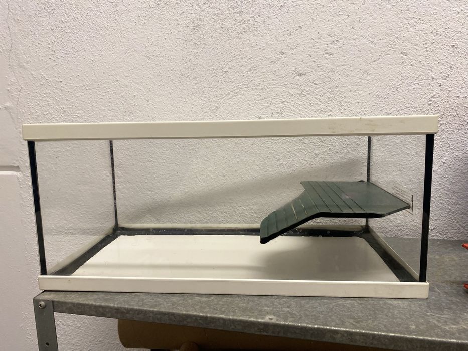 Aquário para tartaruga