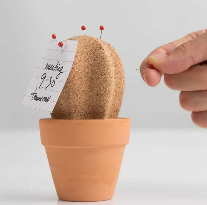 Cacto cortiça com vaso terracota