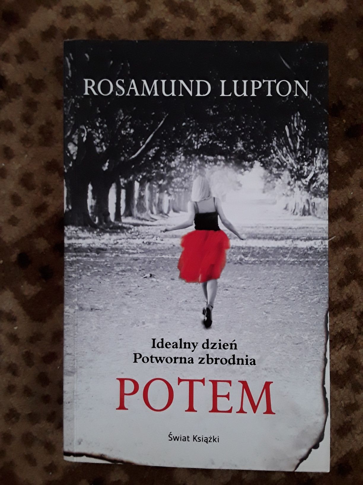 Rosamund Lupton Potem stan idealny