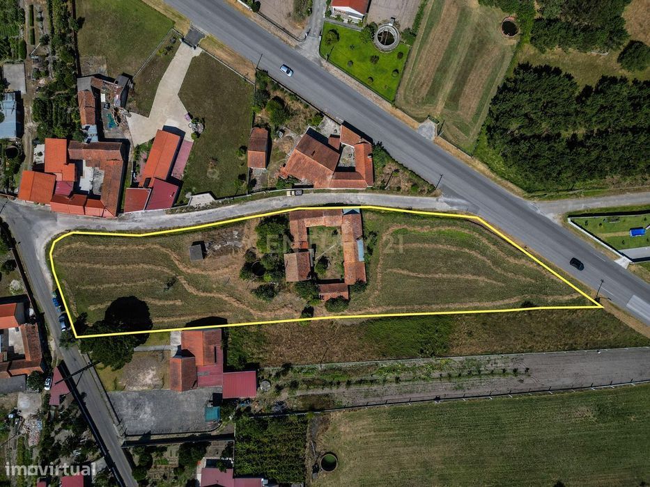 Duas moradias para reabilitar e terreno com mais de 4.000m2 - Casal No