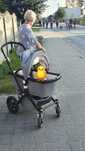 Boogaboo Cameleon