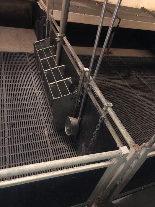 Automaty KORYTA Karmniki NA MOKRO - System Idealny Stan Duży Wybór