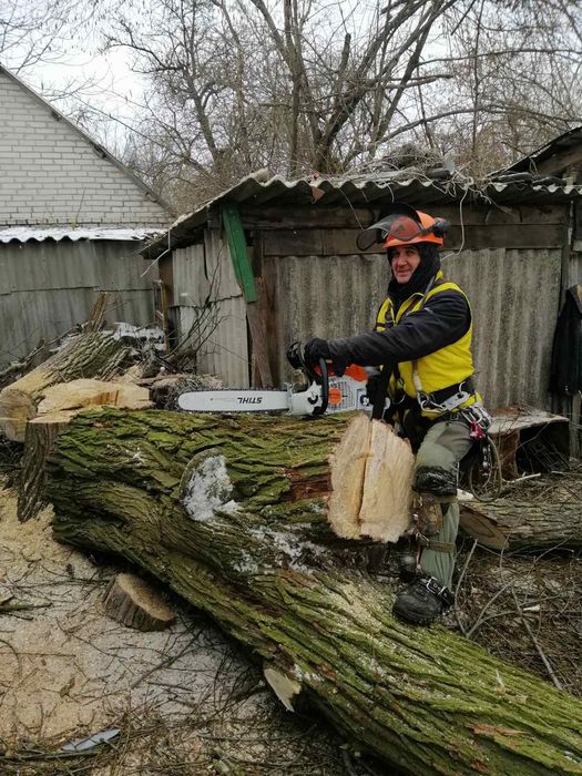 Зрізання аварійних дерев.Порізка на дрова .Подрібнення гілля.