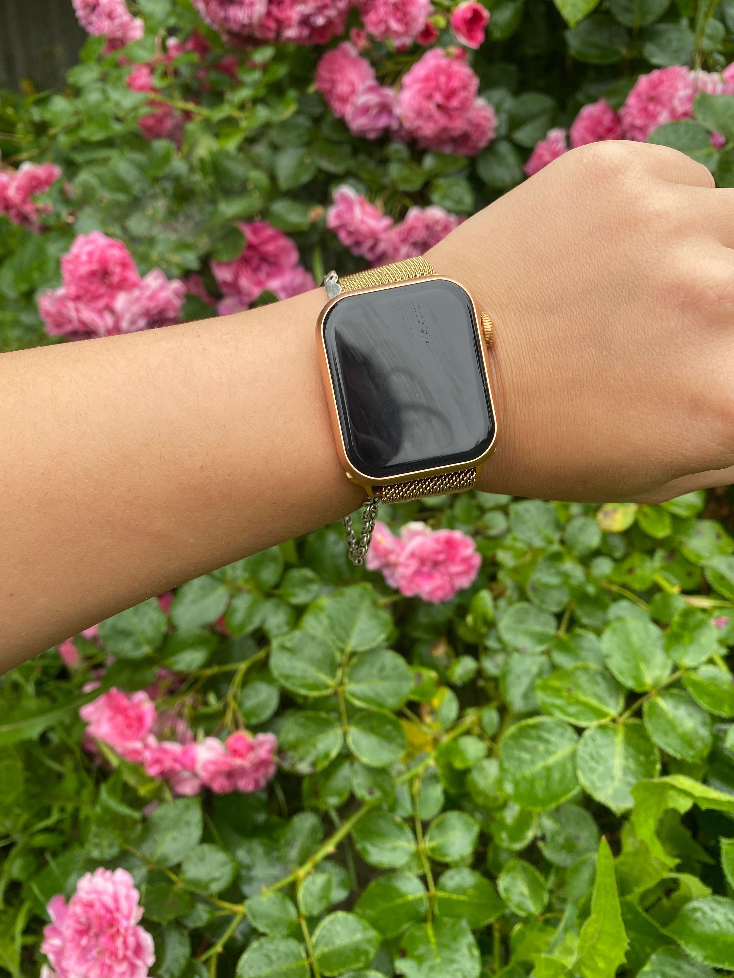 Apple Watch &Hermes