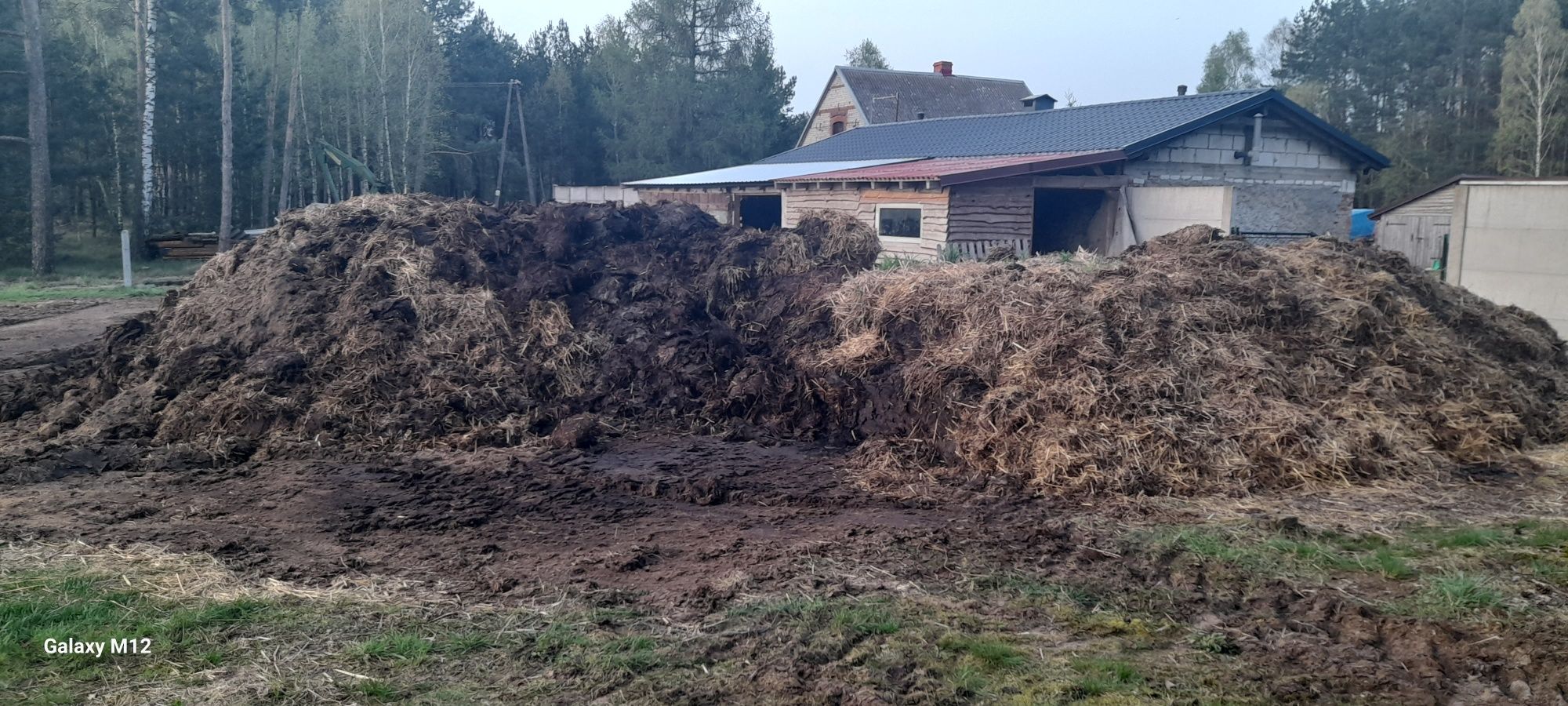 Sprzedam obornik lub zamienię na słomę