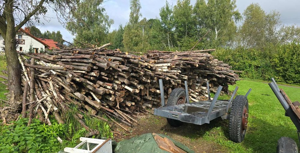 Drzewo do ogrzewania domu lub kominka   56 kubków