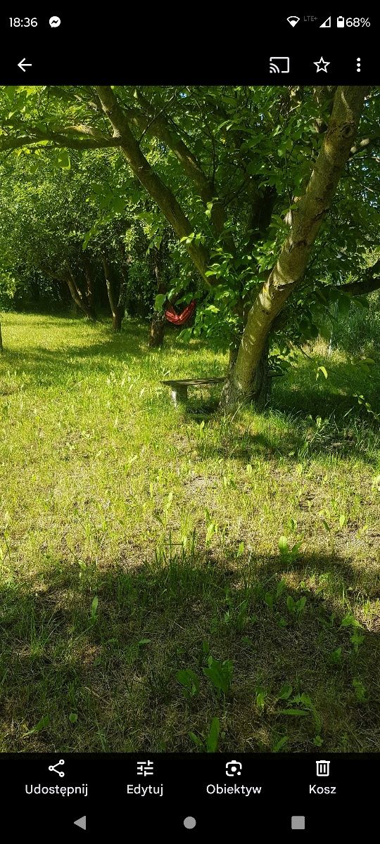 Działka ROD w Zamościu
