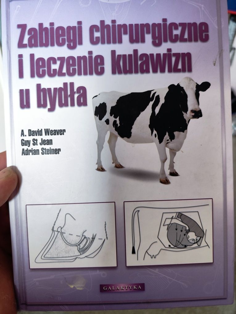 Zabiegi chirurgiczne i leczenie kulawizn u bydła