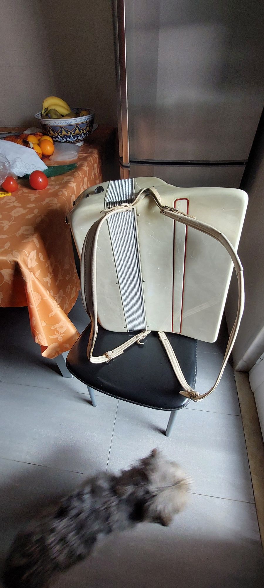 Vendo acordeão italiano