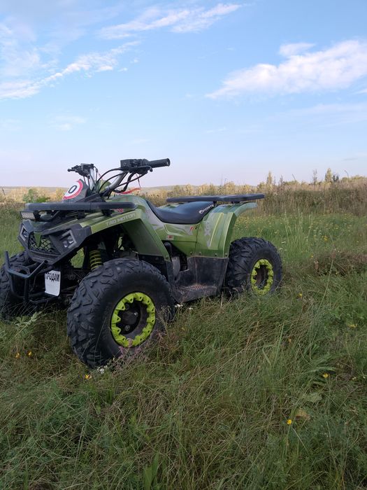 Квадроцикл shark 125