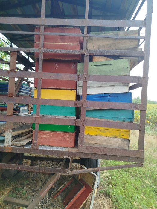 Продам многокорпусный ульи