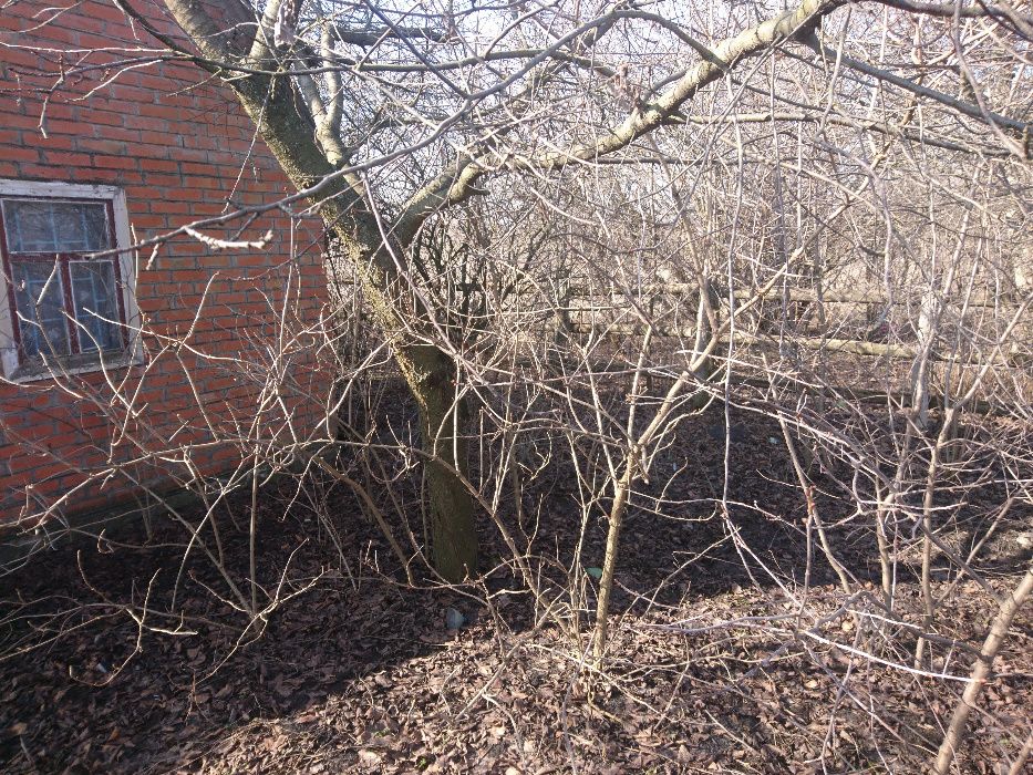 Надержынщина 15 соток под застройку