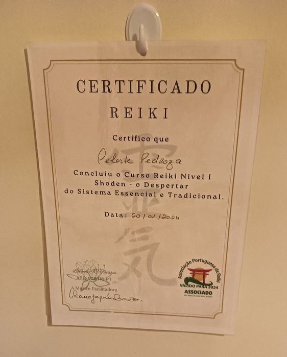 Mestre de Reiki especializado