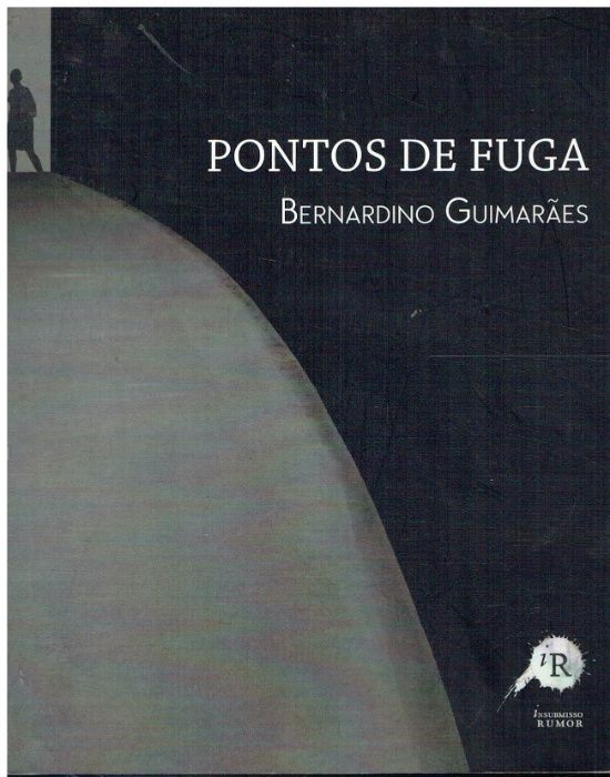 8841 Pontos de Fuga de Bernardino Guimarães