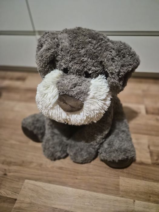 Sun-Day Pies z głosem pluszak 45 cm