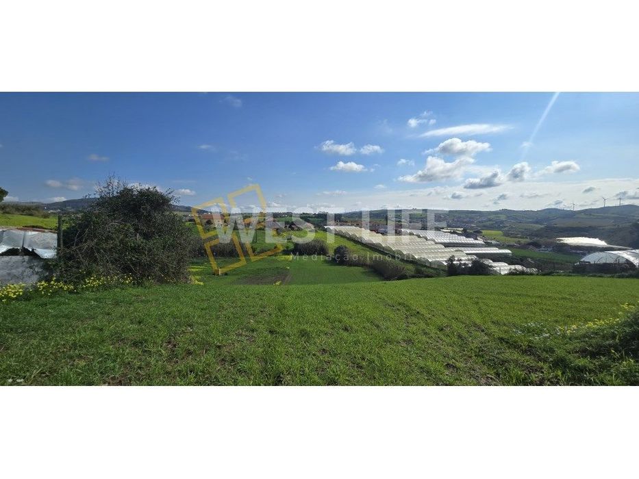 Terreno Rústico com 5215m2 - Armazém e casa e arrumos/arrecadação -...