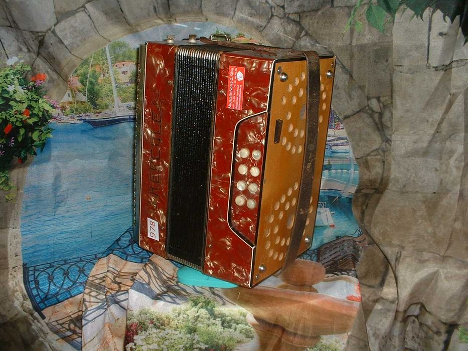 Concertina Avenda N . 978