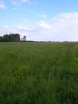 Działka 1.6 ha na sprzedaż