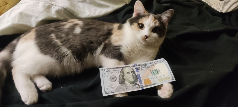 Токарні роботи р-н Гравітон