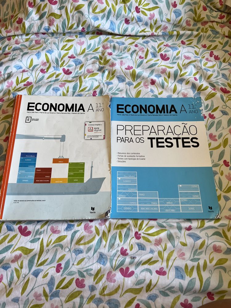 Manual e livro de Preparação para os Testes Economia A 11°ano