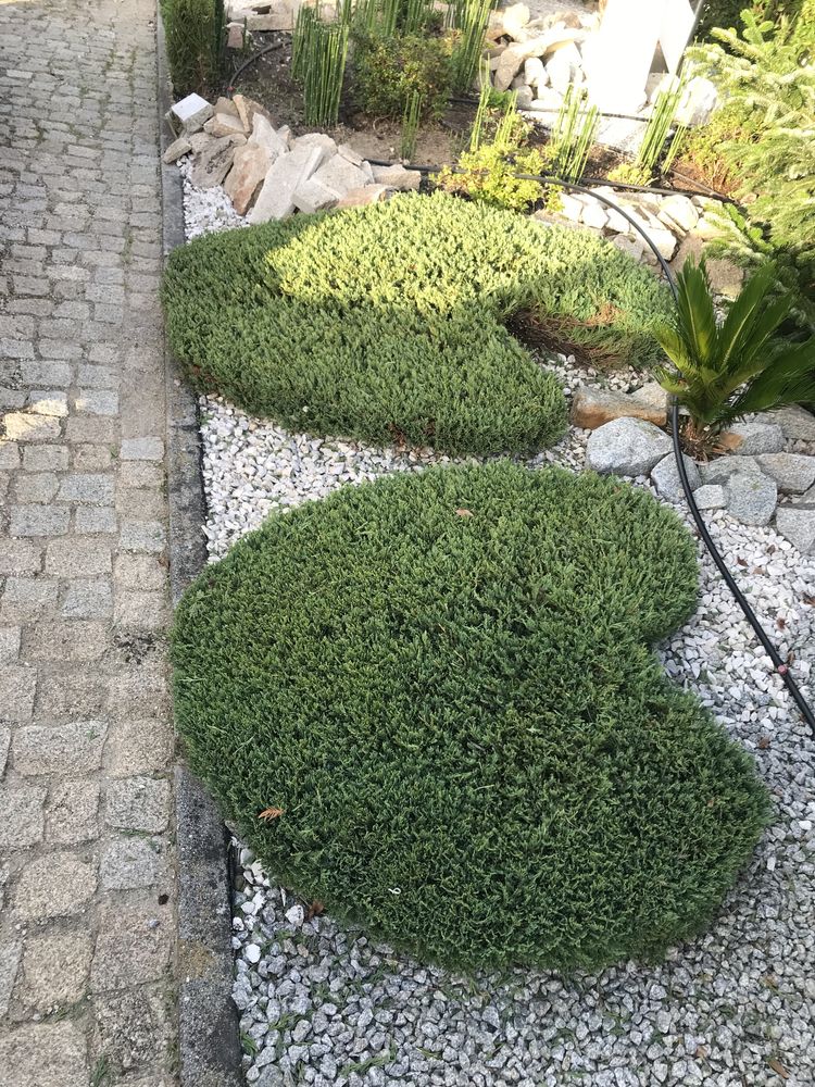 Serviços de jardinagem