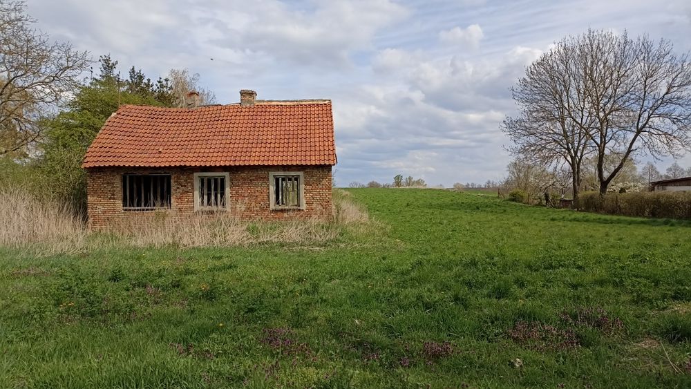 Duża działka z domkiem 0,95 ha, blisko jeziora z widokiem na las.