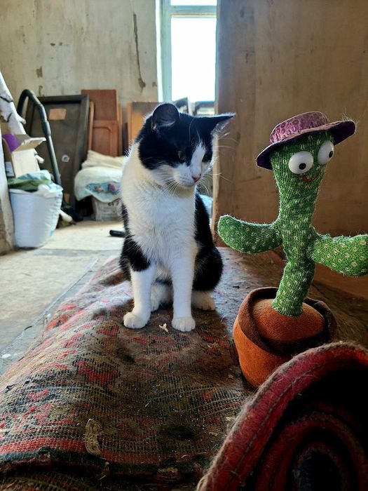 Активна весела дівчинка