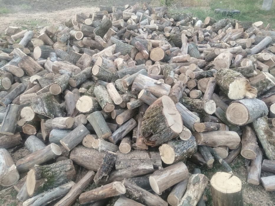 Продам дрова різних порід.