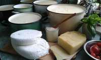 Mleko i domowe wyroby mleczne - sery, masło