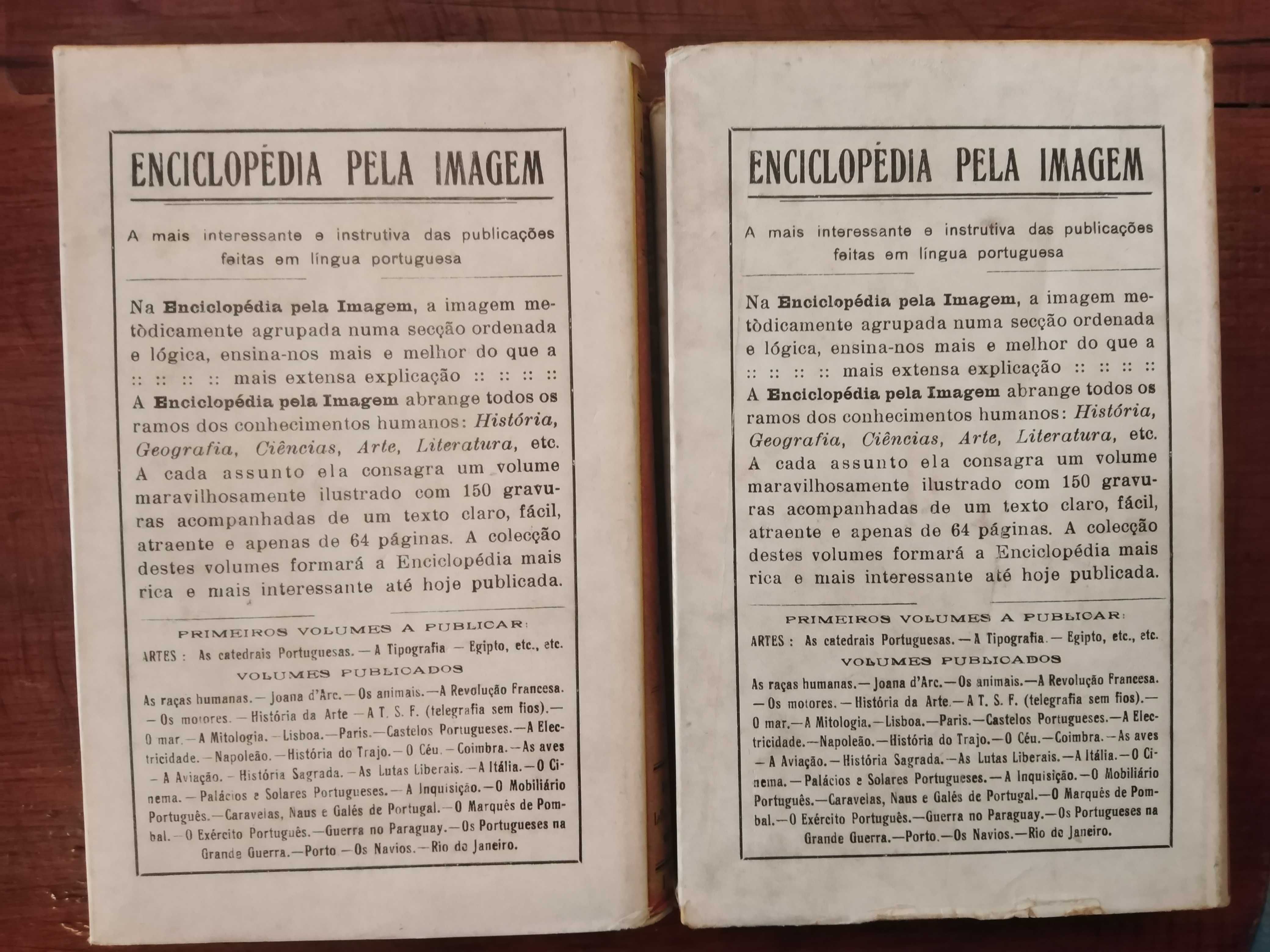 A. Dumas - Ângelo Pitou (2 vols.)