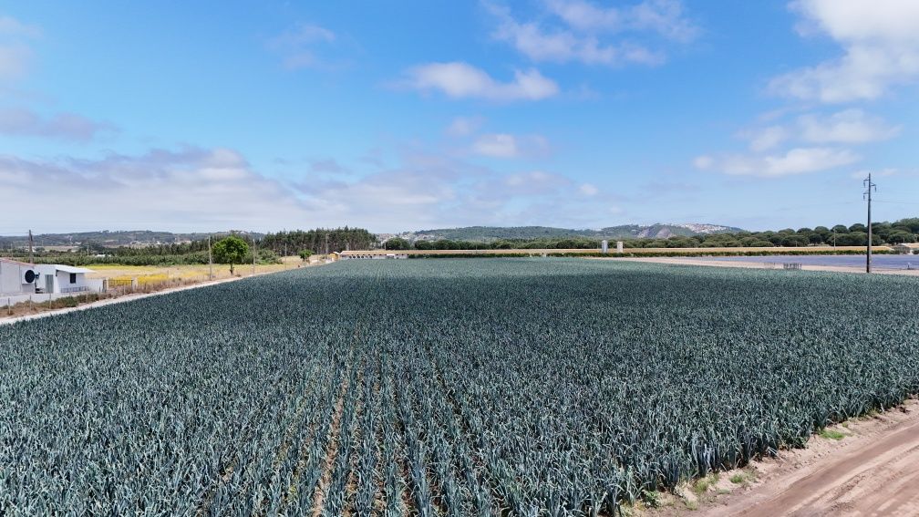 Terreno Rustico em Pó -Área Grande com bons acessos e infraestruturas.
