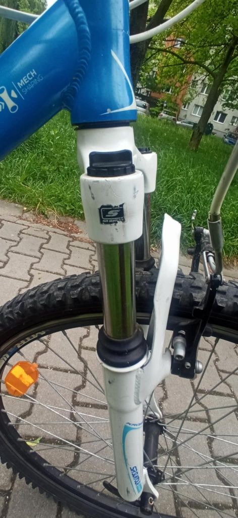 Rower Kross Hexagon F2