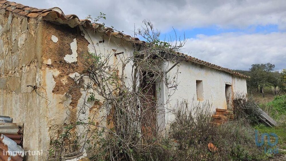 Quinta T3 em Luzianes-Gare de 119,00 m2