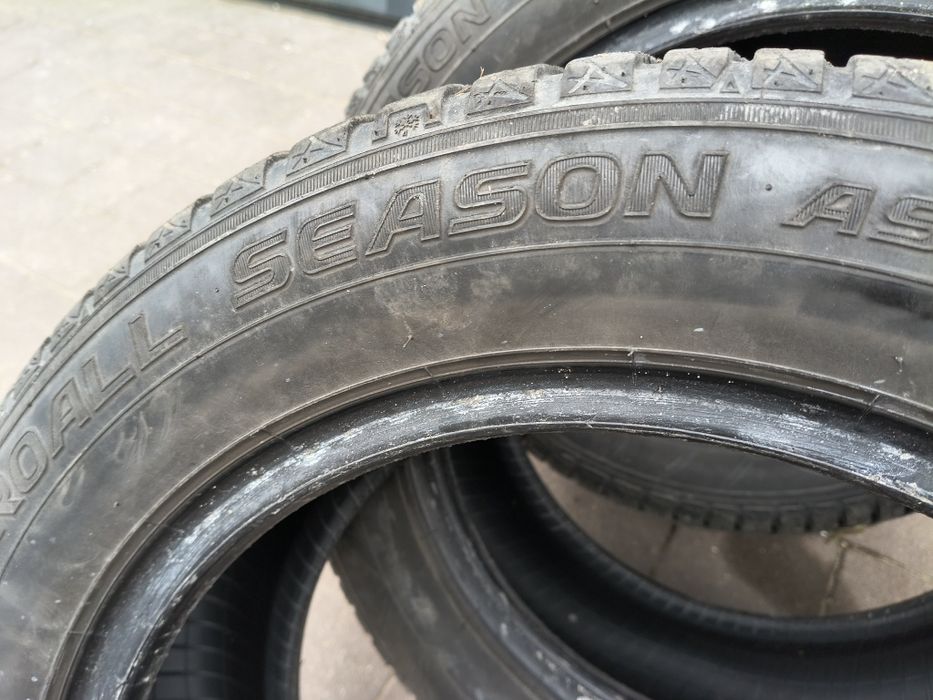 Opony wielosezonowe 195/55/15