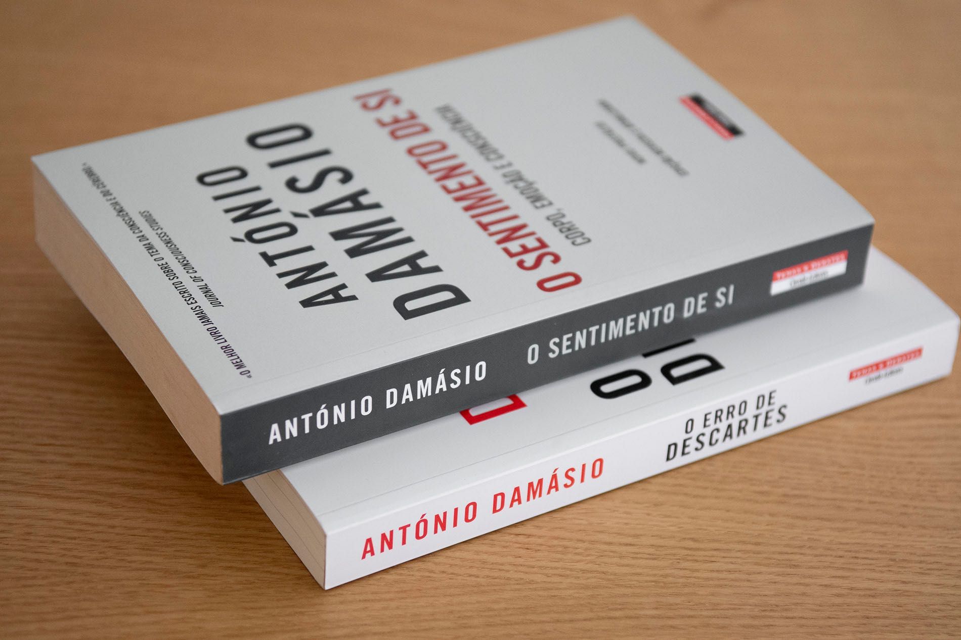 Lote de livros António Damásio