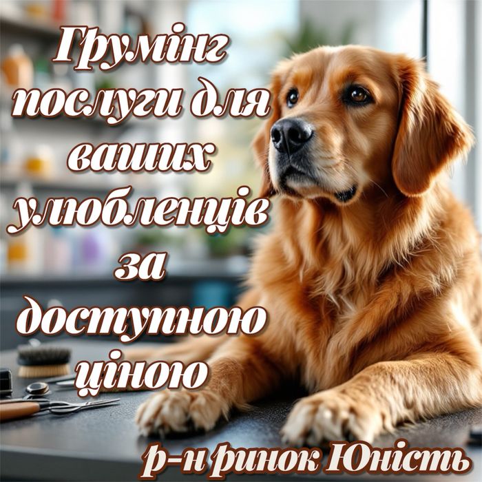 Стрижка собак Стрижка котів Ультразвукова чистка Послуги грумера