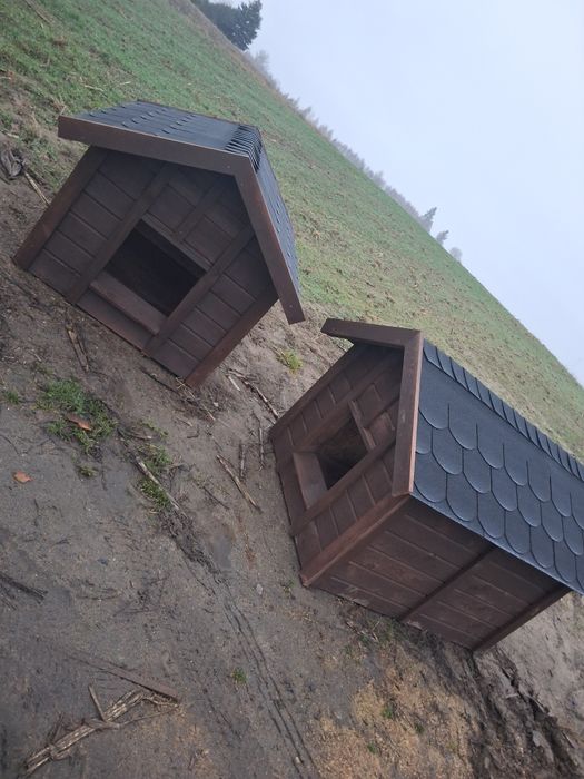 Bardzo duża buda dla psa