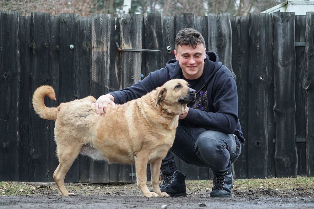 Kenta - super pozytywna sunia szuka domu