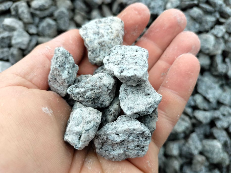 Grys granitowy, dalmatyńczyk, kamień ozdobny do ogrodu, frakcja 16-22