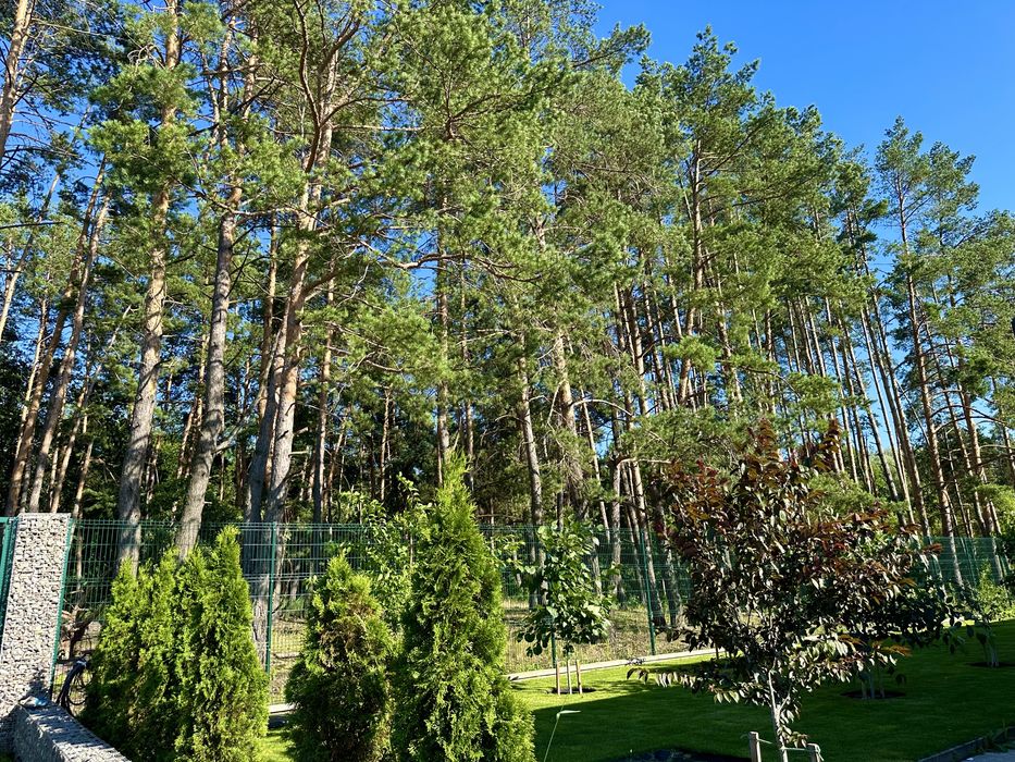 Ділянка з виходом в Сосновий ліс, власний вихід на Озеро с.Ходосівка