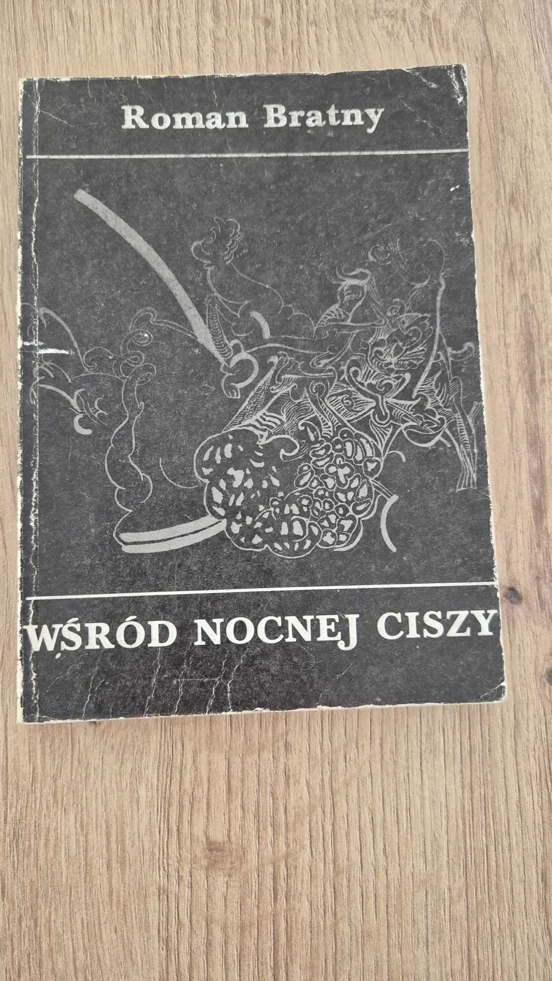 Wśród nocnej ciszy