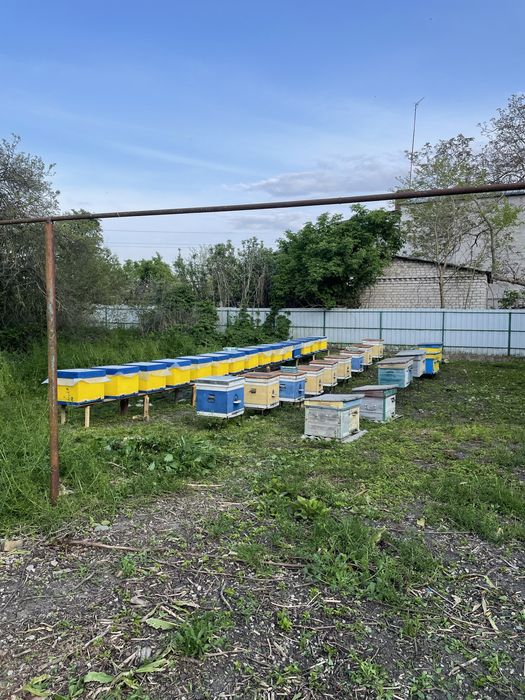 Будинок з гаражем та господарськими приміщенями, велика ділянка.
