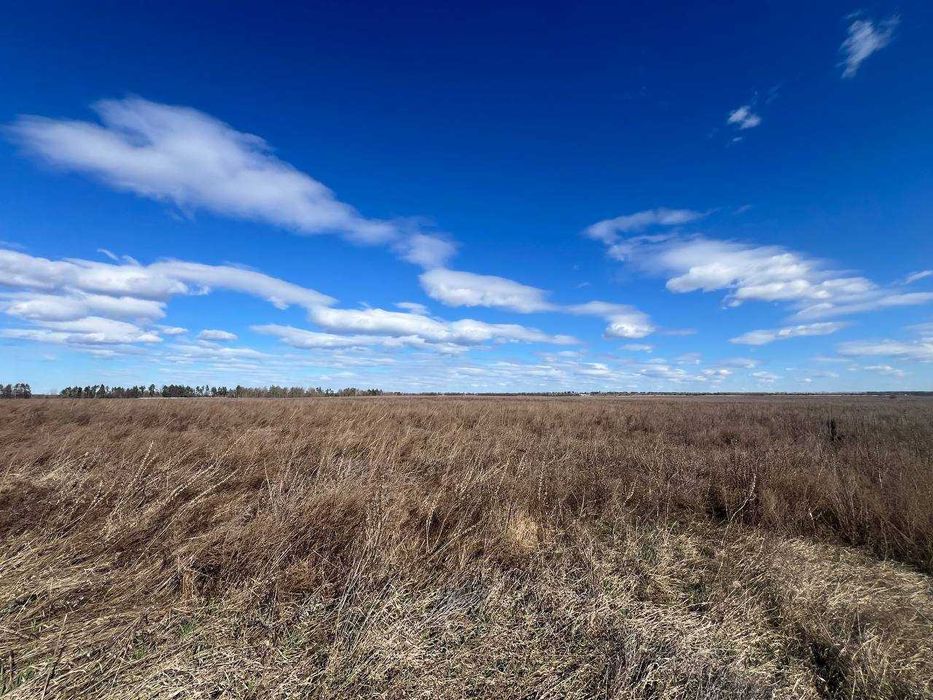 Продаж земельної ділянки 1,46га (ОСГ). Терміново! ТОРГ! ID:679