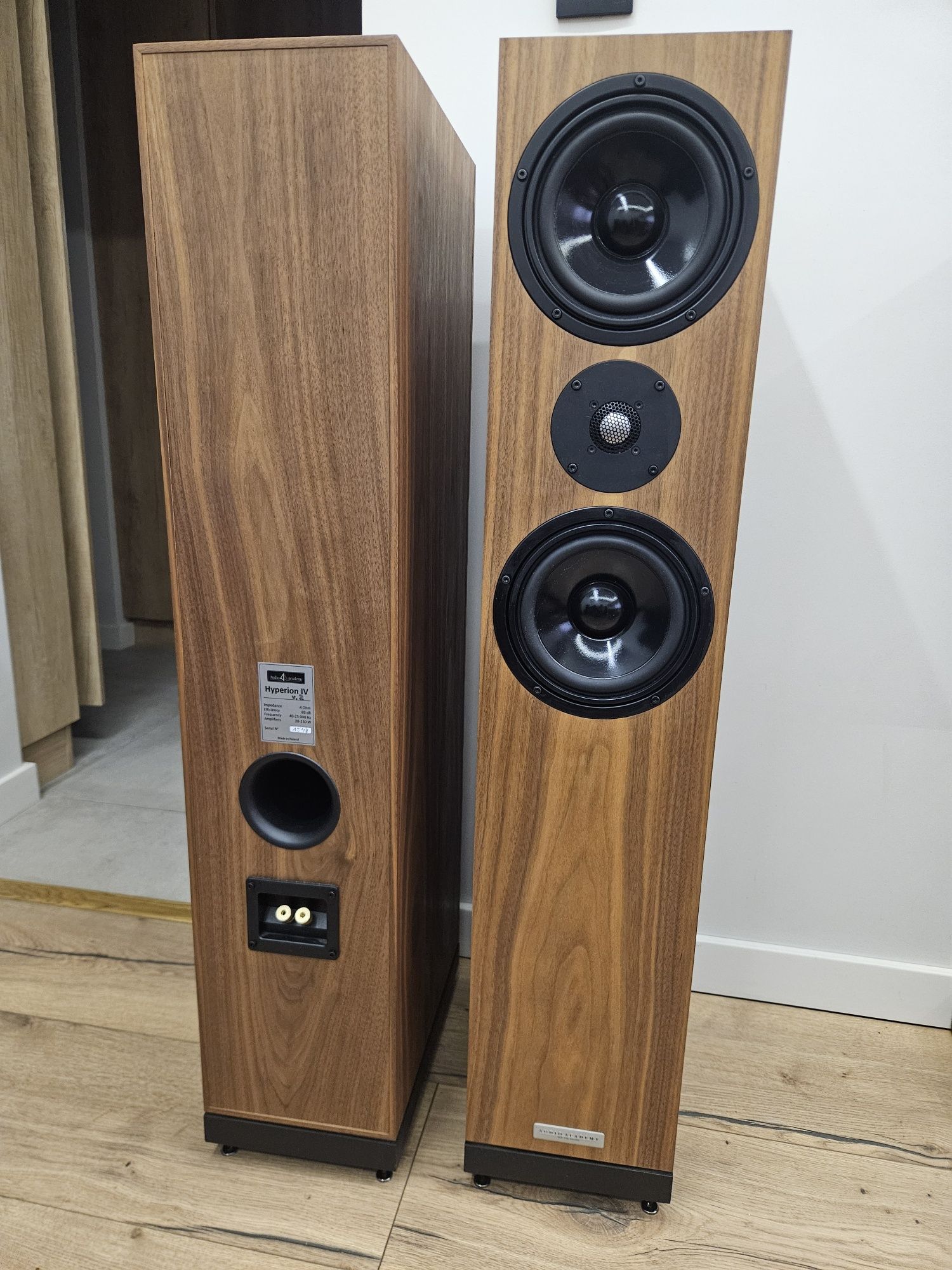 Kolumny Audio Academy Hyperion IV v2