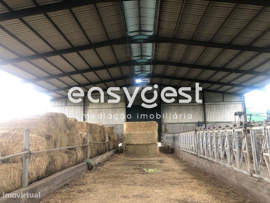 Espaço industrial com área térrea pronto a laborar na zona do Fundão