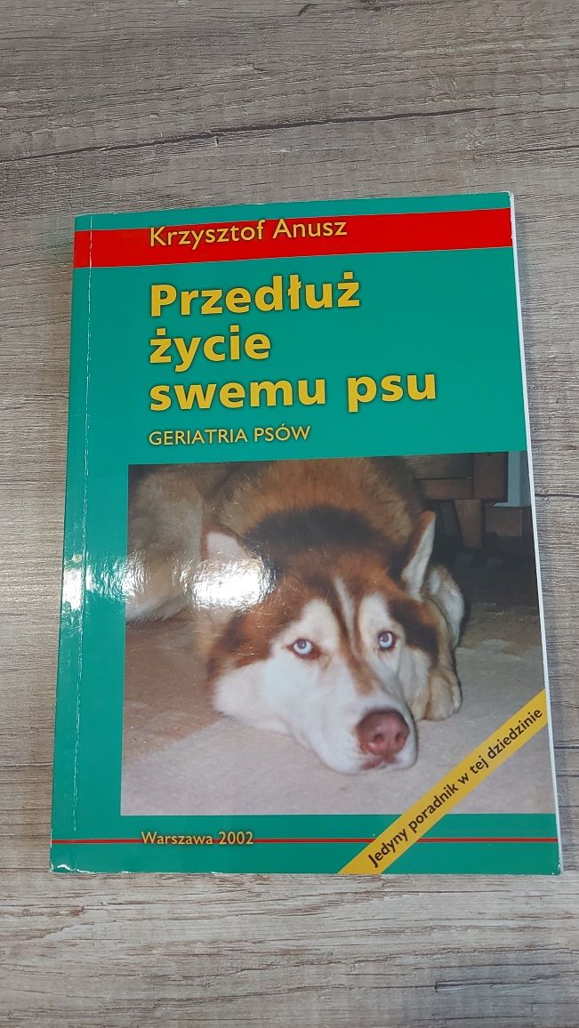 Przedłuż życie swojemu psu geriatria psów- K. Anusz