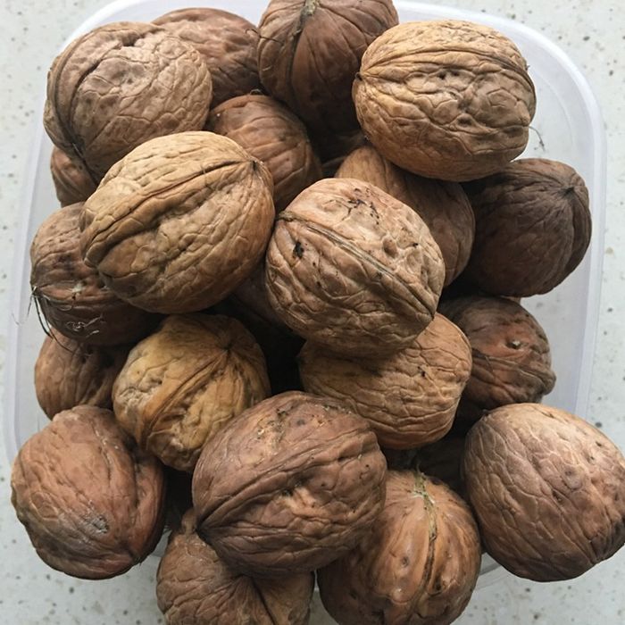 Sprzedam orzechy tanio!!!