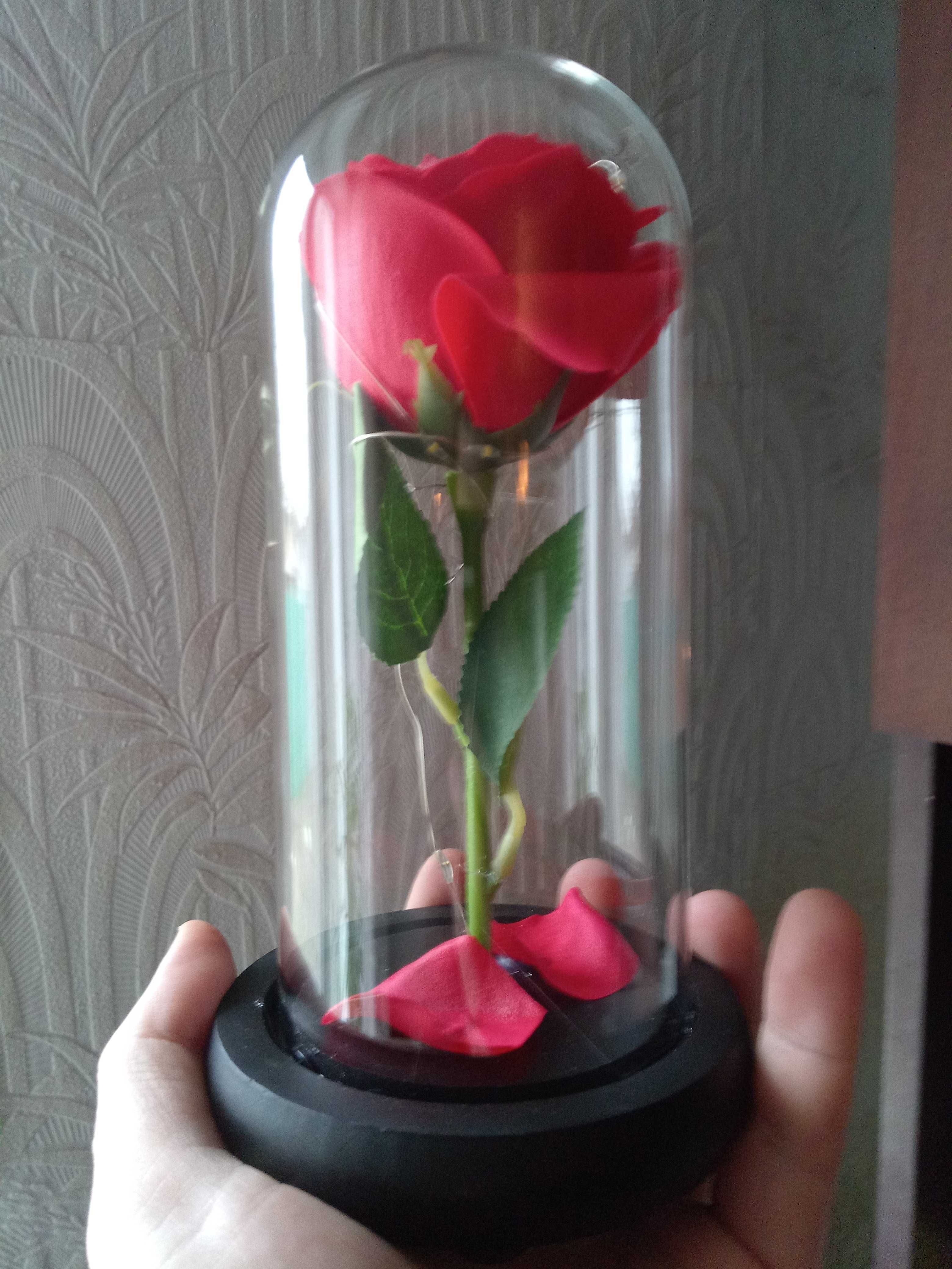 Гарна червона троянда в колбі з підсвіткою,вічна троянда №A54