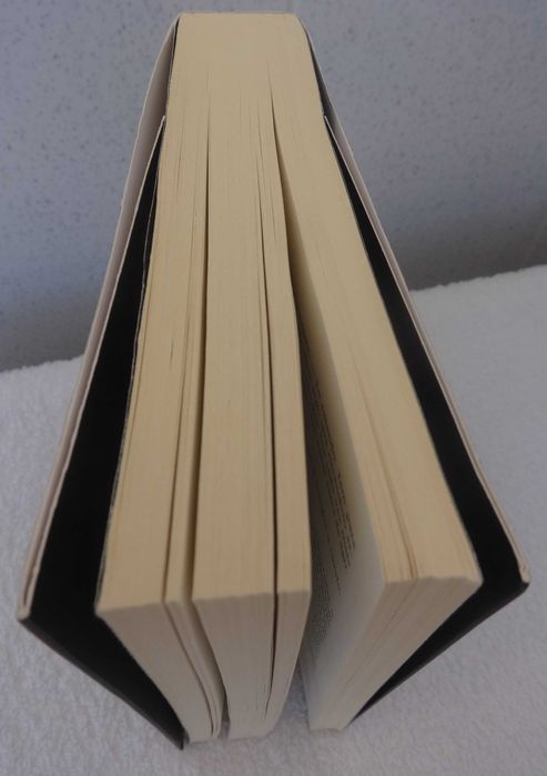 Livro “A Torre dos Loucos”