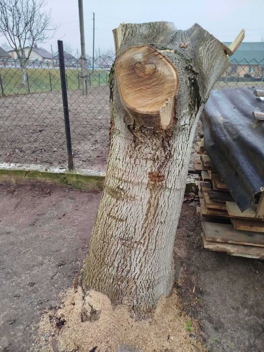 Горіх (деревина)